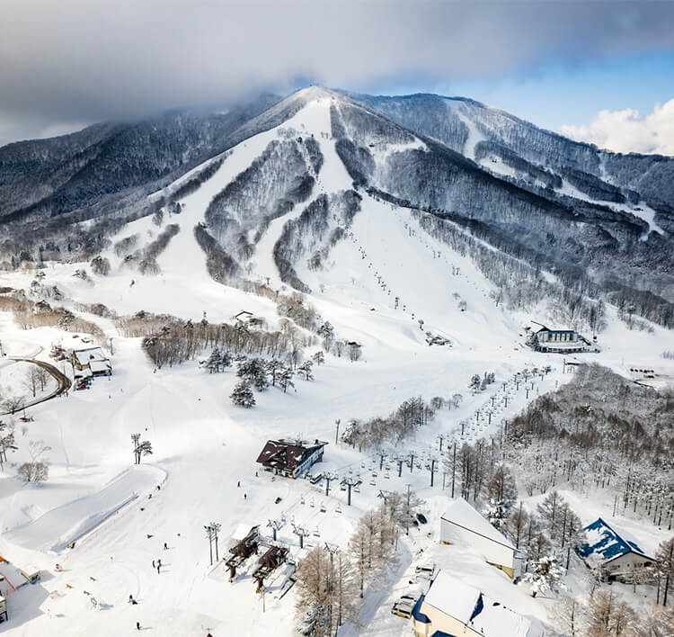 Madarao Mountain Resort