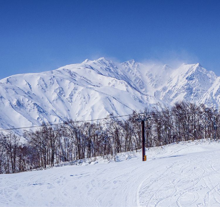 HAKUBA IWATAKE SNOW FIELD